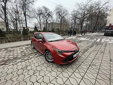 Toyota: Toyota Corolla: 2019 г., 2 л, Вариатор, Бензин, Хэтчбэк — 10