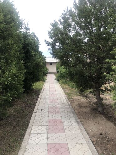 гостевой дом на иссык куле: Коттедж, Адеми Тамчы, Парковка, стоянка, Барбекю