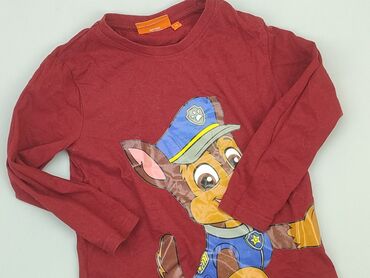 Blouses: Blouse, Nickelodeon, 5-6 years, 110-116 cm, condition - Good