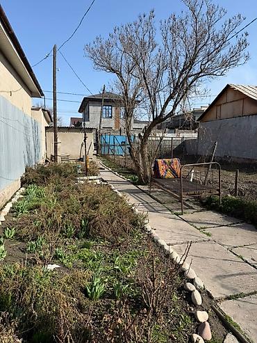 Продажа коттеджей и домов: 🏡 *Дом не для,Посмотреть’’ а для,Забрать’’ !!!* *Борода одобряет- — 2