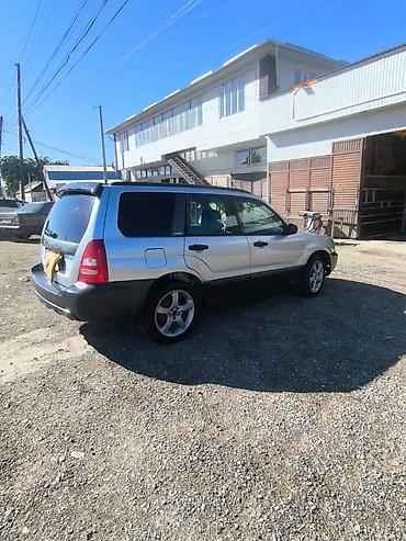 Subaru: Subaru Forester: 2003 г., 2 л, Автомат, Кроссовер — 4