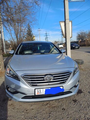 санен мусо: Hyundai Sonata: 2016 г., 2 л, Автомат, Газ, Седан