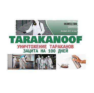 160: Дезинфекция, дезинсекция, | Тараканы, | Дома, Кафе, магазины, Квартиры — 1