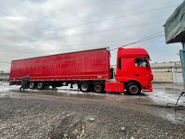 Тягачи: Тягач, DAF, 2018 г., Шторный — 10