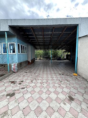 село ленинск: 📌В селе Петровка срочно продаётся дом на участке 40 соток, длина — 2
