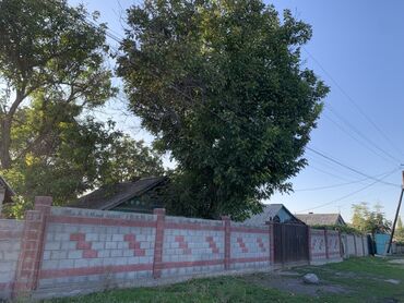 продаю дом кок жаре: Дом, 100 м², 4 комнаты