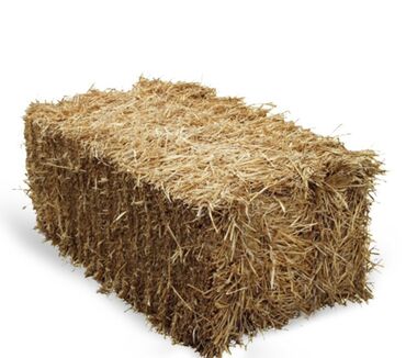 горох для крс: Тюки соломы (прямоугольный тюк) - Плотно спрессованная солома