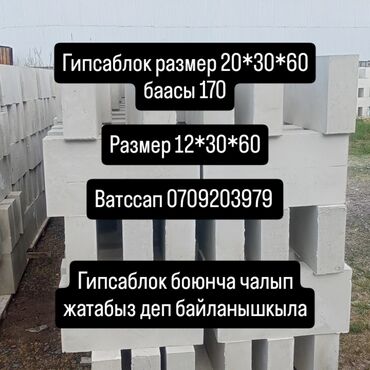 растение для дома и офиса: Сатылат ватссап тан жазгыла