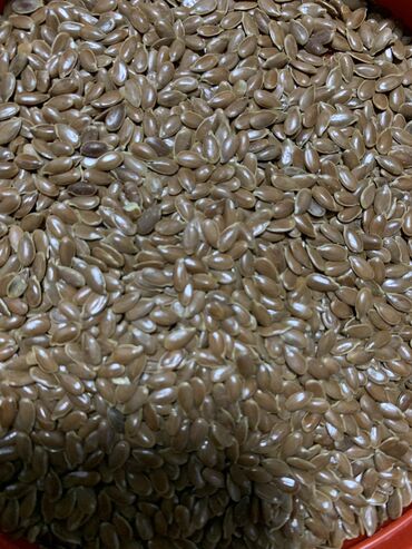 Семена и саженцы: Семена льна 
Высшего качества с Алтайского края
Оптовая цена 150