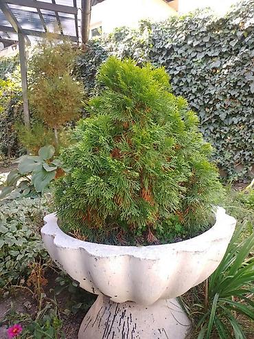 Продажа коттеджей и домов: Продаем теплый современный просторный дом 70кв.м., р-н — 21