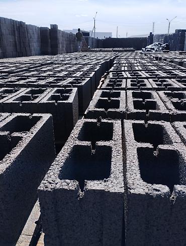 Строительный кирпич: Пустотелый, дырчатый, Прессованная кирпич — 11