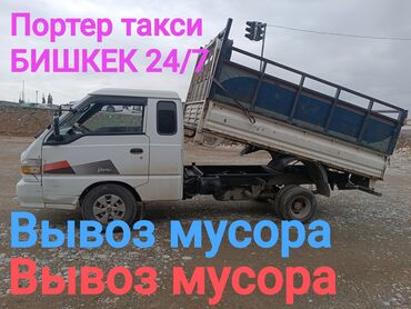 сколько стоит сфинкс кошка: Портер такси Портер такси Портер такси Портер такси Портер такси at lalafo.kg сколько стоит сфинкс кошка: Портер такси Портер такси Портер такси Портер такси Портер такси
