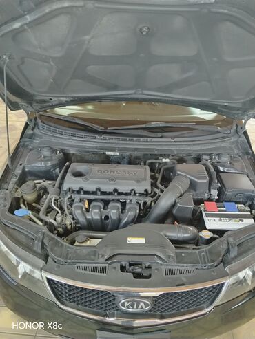 Kia: Kia Cerato: 2 l | 2009 il Sedan — 15