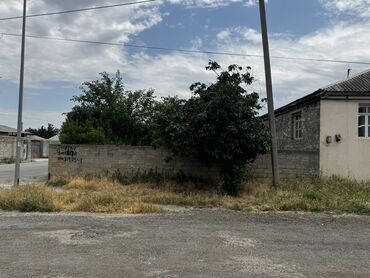 Çaydanlar: 3 sot, Tikinti, Maklerlər narahat etməsin