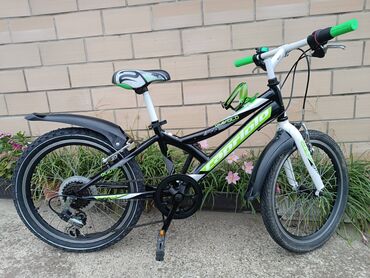 Dečiji bicikli: Decij bicikl Capriolo Diavolo 20" sa brzinama Tekst oglasa Decija — 7