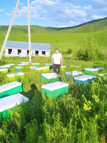 работа для инвалидов 2 группы на дому: Электрик. Больше 6 лет опыта