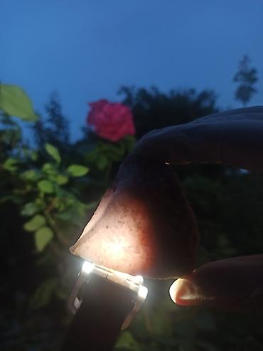 Qiymətli daşlar: Təbii YAQUT ( Ruby ) Daşı SATILIR 💎 Kolleksiya üçün Nadir Floresan ✨ — 11