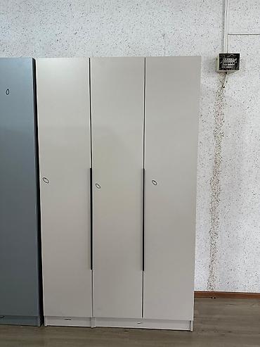 Шифоньеры, шкафы для одежды: Шифоньер, шкаф для одежды, Прямой, ЛДСП — 7