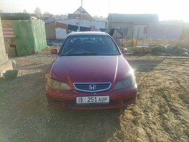 Honda: Honda Accord: 2001 г., 0.2 л, Типтроник, Газ, Хэтчбэк