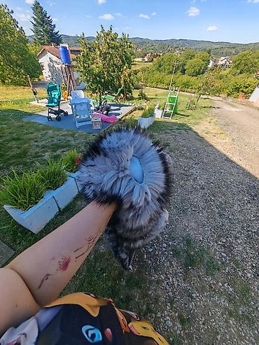 Personal Items: Jakna ima oštećenje na krznu, rašiven šav — 1