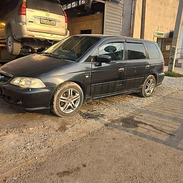 honda ipsum: Honda Odyssey: 2001 г., 2.3 л, Автомат, Бензин, Минивэн — 1