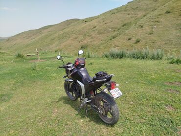 купить запчасти на опель вектра б: Спортбайк 300 куб. см, Бензин, Чоңдор үчүн, Колдонулган