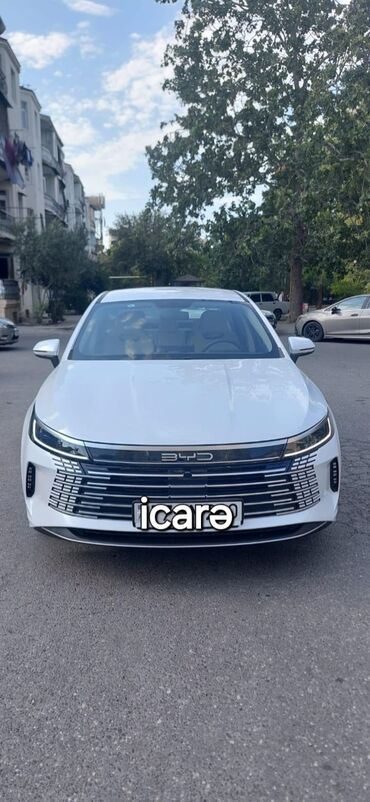 BYD: BYD : 1.5 l | 2024 il Sedan