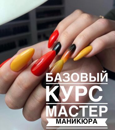 курсы бровистов: Курстар | Маникюр чеберлери, Кирпик өстүрүү чеберлери, Каш чеберлери | Сертификат берилет, Сарпталуучу материалдар менен камсыздоо, Үлгүлөр менен камсыздоо