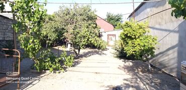boş ev: 2 sot, Tikinti, Barter mümkündür, Kupça (Çıxarış)