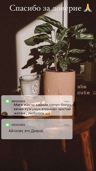 Брови: Брови, Коррекция, Гипоаллергенные материалы, Требуются модели at lalafo.kg — 10 Брови: Брови, Коррекция, Гипоаллергенные материалы, Требуются модели — 10