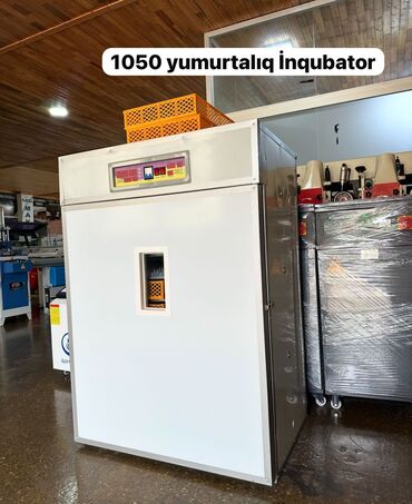 İnkubatorlar: 1100 yumurta, Çin