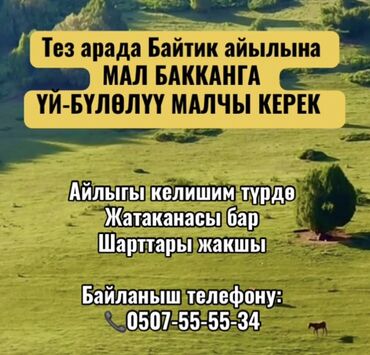 Айыл чарба: Тез арада Байтик айылына МАЛ БАККАНГА ҮЙ-БҮЛӨЛҮҮ МАЛЧЫ КЕРЕК Айлыгы