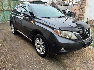 Lexus: Lexus RX: 2009 г., 3.5 л, Автомат, Бензин, Внедорожник