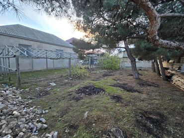 Torpaq sahələrinin satışı: 100 sot, Kənd təsərrüfatı, Mülkiyyətçi, Kupça (Çıxarış) — 4