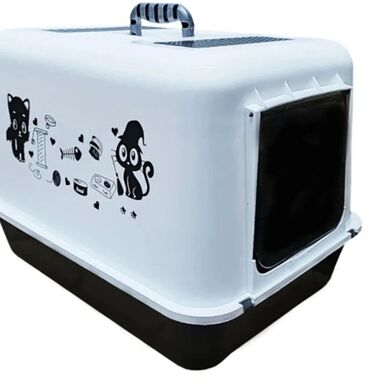 Pişiklər: Erkək, Dişi -da lalafo.az — 7 Pişiklər: Erkək, Dişi — 7