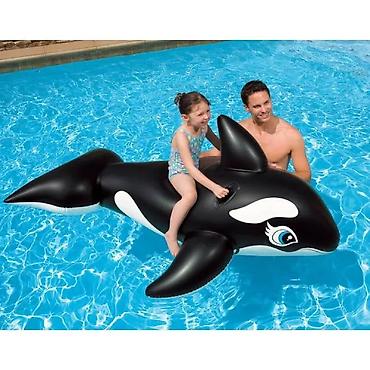 бассейны в баку цены: Intex 58561 su üstü delfin şişmə 813515 qiymət 28 azn Globex – — 1