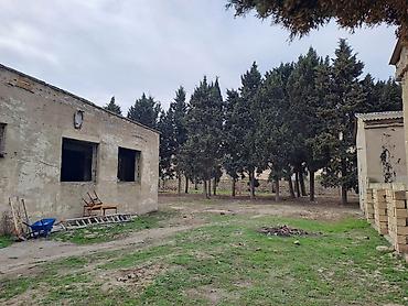 Torpaq sahələrinin satışı: 25 sot, Kupça (Çıxarış) — 15