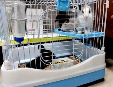 Зоотовары: Клетки для кроликов, морских свинок, ежей, попугаев, хомяков, крыс и — 8