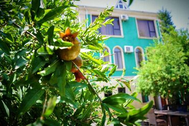 Günlük kirayə evlər: 750 kv. m, 7 otaqlı, Telefon, Kanalizasiya, Qaz — 23