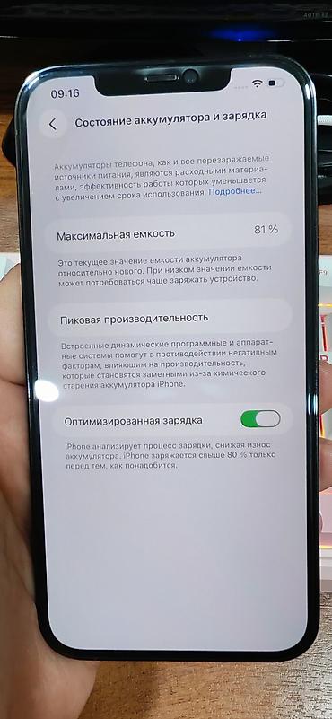 Apple iPhone: IPhone 12 Pro Max, Б/у, 256 ГБ, Sierra Blue, Защитное стекло, Чехол — 8