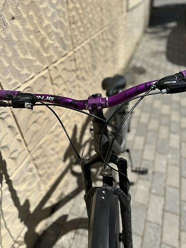 shimano velosiped: Şəhər və yüngül off-road üçün universal dağ velosipedi. - Gövdə — 5