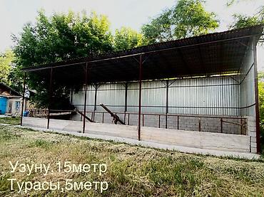 Продажа сельхозпредприятий: Салам алейкум Кара-Балта Шаарынын чалдавар жайгашкан трассанын — 4