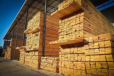 Балки: ✅Лес по низким ценам ✅Звоните сейчас и получите бесплатную — 6