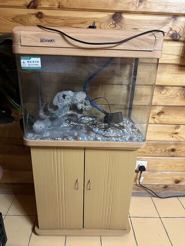 лежак для животных: Продаю старый аквариум. Состояние не самое лучшее, неизвестно