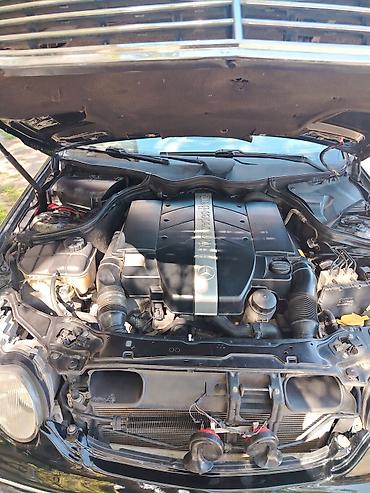 Mercedes-Benz: Mercedes-Benz C-Class: 1.8 l | Sedan — 14