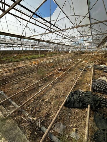 Kommersiya daşınmaz əmlakının satışı: Abseron Rayonu Məhəmmədli Qəsəbəsində Parnik satilir. Torpaq sahəsi 60 -da lalafo.az — 3 Kommersiya daşınmaz əmlakının satışı: Abseron Rayonu Məhəmmədli Qəsəbəsində Parnik satilir. Torpaq sahəsi 60 — 3