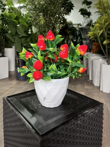 Декоративные цветы: Искусственные деревья — это идеальное решение для оформления интерьера at lalafo.kg — 9 Декоративные цветы: Искусственные деревья — это идеальное решение для оформления интерьера — 9