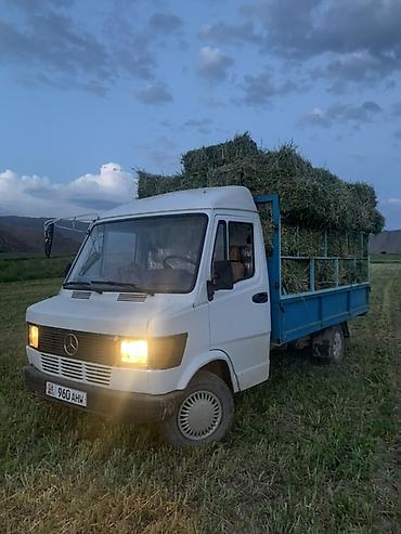 глазки на авто: Mercedes-Benz грузовой бортовой малотоннажник - Кабина — 3