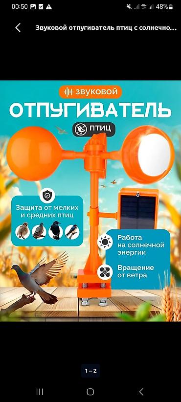 bird: Защитные сетки от птиц — 1