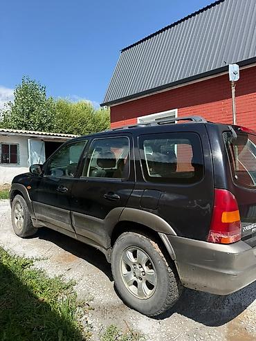 Транспорт: Mazda Tribute: 2003 г., Кроссовер — 4